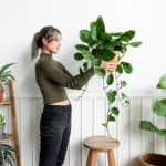 Estas son las plantas que debería tener en tu casa antes de finalizar el año, según el Feng Shui