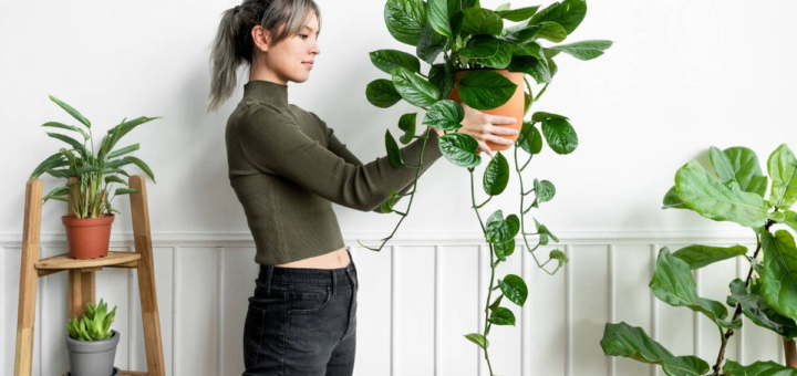 Estas son las plantas que debería tener en tu casa antes de finalizar el año, según el Feng Shui